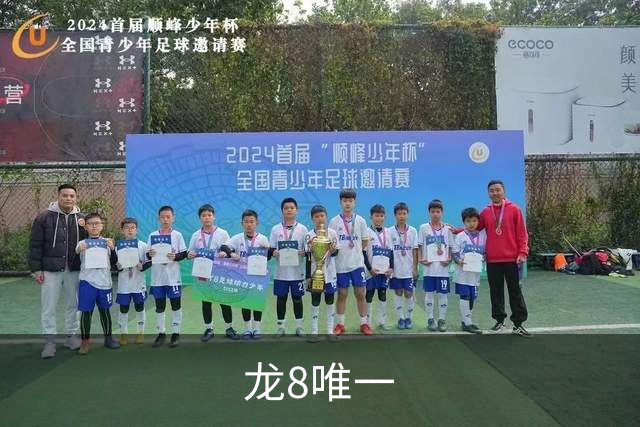 龙8唯一公司简介
